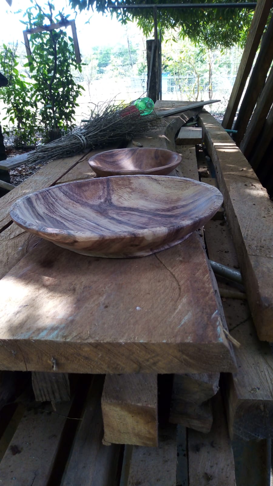 Guanacaste Teller - 4er Set