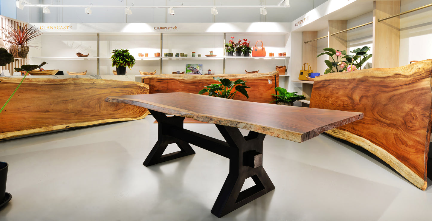 Bella - Guanacaste Tisch (Ausstellungstisch)