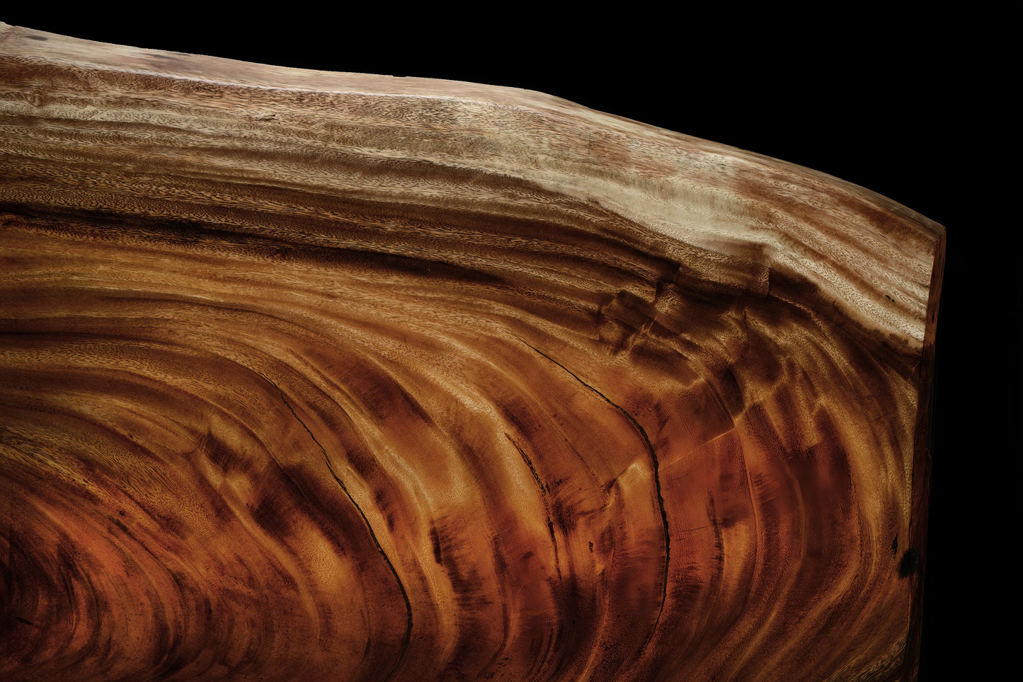 Bella - Guanacaste Tisch (Ausstellungstisch)