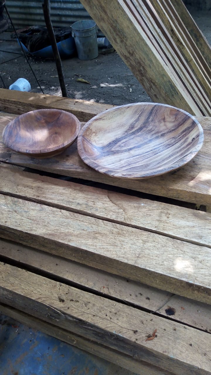 Guanacaste Plates - Set of 4